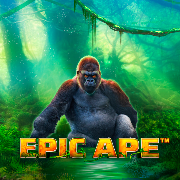 image overlay